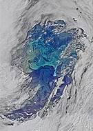 collection-preview-0