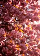 2025-08-29/fb7ec2c7-cd6a-4b71-ae40-ee02f43ec3f4