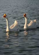 2025-08-30/90566385-01b3-45c9-99ee-bd922c4f9cdc