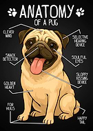 2025-09-02/9b6be57c-19f2-493d-8bf9-8821f0512894