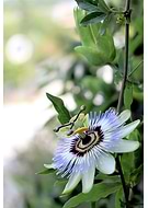 2025-09-03/0827214d-b2a0-41dc-8945-dd654e6db1b0