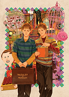 collection-preview-1