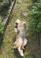 2025-09-11/fbacdedc-e06d-4b2f-829f-21b254405166