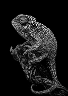 2025-09-16/576d0b3a-bfa9-4c21-8e14-f7575633a4d6