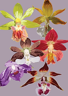 2025-09-17/1d5b419e-b99f-4854-87f7-900d4427e833