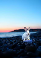 2025-09-19/384dc09b-1c32-44ef-ab61-e86ad425914b