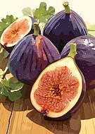 2025-09-19/8b9d5453-b721-4341-a065-06de67e5c19c