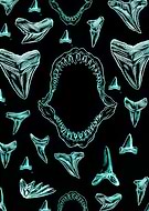 2025-09-21/3c0be4c6-c1ae-46a4-b438-6244cead6272