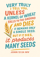 2025-09-21/c590a3d5-76ae-48e6-9c8c-42a401c64b8e