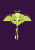 2025-09-25/907e4a19-b8df-45d5-98e5-4bcd550e5438