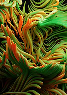 2025-09-26/6fcd8ef6-3905-43d1-bc59-164cf562a5cf