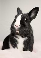 2025-09-28/5ab57e55-79d3-483d-b82b-7142701ba4df