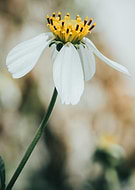 2025-09-29/45f4b5d0-99b7-4f2b-bf51-262a5dd8b224