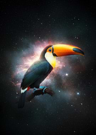 2025-09-30/df42bc92-59da-403e-a47d-b331e0b5c5bc