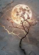 2025-10-05/4d8cebcb-94ea-459a-aea5-e9064790e6bf