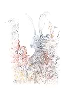 2025-10-08/9d2c1caf-bdfe-4803-9a97-38ffb50d3c1c