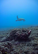 2025-10-09/181138d8-aa7c-48f1-b796-904d46bfa384