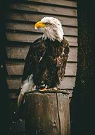 2025-10-09/be4d5edc-8b48-49f1-8a0a-2fb5086fa52d