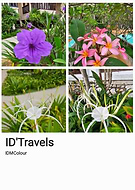 2025-10-11/1f0084a3-2545-48c5-9db6-0db3534b5870