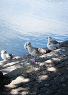 2025-10-11/5a177f4e-2cdb-4f4d-a2d2-c04e58933fdd