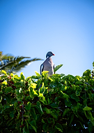 2025-10-11/e8107cbb-0976-401e-94be-6c110fc1e502