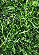 2025-10-12/107555ab-9f6d-454a-a596-72e003e79295