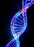 2025-10-12/2aba7f30-5e6f-46a6-b9ba-a25b770da70f