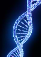 2025-10-12/a7487858-7f31-4389-b7d9-2542520be339