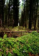 2025-10-13/26e2c866-450d-4b57-9d62-191dc455efa9