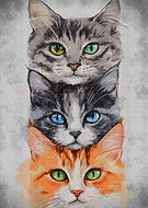 2025-10-13/6075235c-344e-4fc1-90c3-993e935872d3