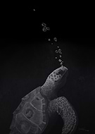 2025-10-15/494cffcb-2e3b-414c-ab09-b52a35afd0d9