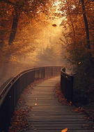 2025-10-15/f7078667-79a6-46e4-be62-f22e75d9231f