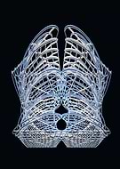 2025-10-16/f329f14d-2e81-4851-bea1-a1d7631a5a38