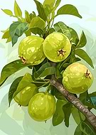 2025-10-20/07bcc3a5-c285-41ea-8d68-562d044e539a