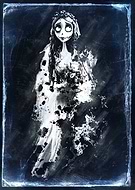 collection-preview-3