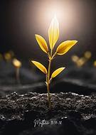 2025-10-20/e3c0ad8f-68b9-4db3-a5c5-dc2ff4b03999