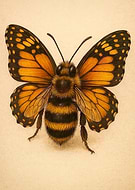 2025-10-22/903259e2-0e0c-483b-9b36-c38f40ec017a