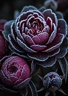 2025-10-23/94713f09-094e-4c8f-8358-1ff8a51018f8