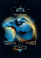 collection-preview-3