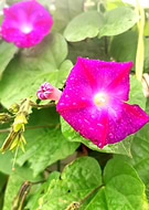 2025-10-24/7d55c30f-740f-4447-b83c-48378ccdb634