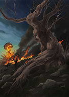 2025-10-25/4ab1c2ff-80b2-4d0e-889f-f847b7e527da