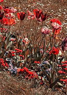 2025-10-27/db336528-6bb2-4278-b812-5767386cc068