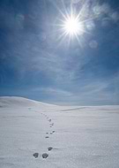 2025-10-29/13436d0e-b838-4b09-bc21-a3f2b0e350ca