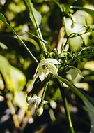 2025-10-29/51430846-dc97-4c6a-bbfb-d3f8ff5a2719