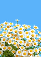 2025-10-30/f2675ca3-114e-42a1-be43-6327bf6c471d