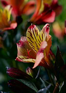 2025-10-30/fcd0849d-52e3-454e-865d-15c967f14397