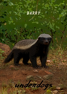 2025-10-31/9d9a7b4e-9be0-4ac4-bcf7-f689f35ce854