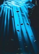 2025-10-31/e6c4230f-98d2-4a95-9ee2-e0dd7282ec2d