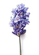 2025-11-03/3f9b9436-cf5f-4abd-b794-5be3fade1d2e