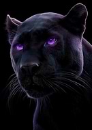 2025-11-04/8ce61cbe-5b52-49ec-9deb-25dad8d2e37c